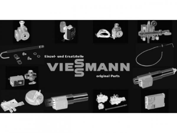 Viessmann Wartungsdeckel Wendekammer 7859705