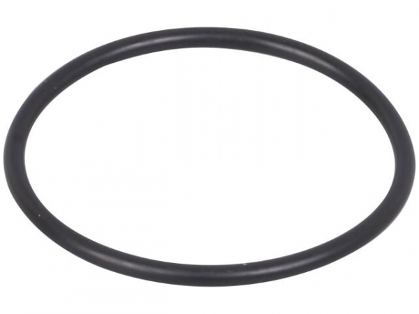 O-Ring 44,9 x 2,62 mm Kondensatablauf