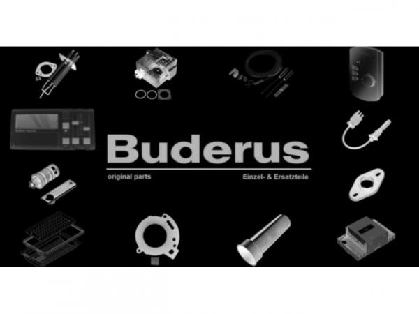 Buderus 19940117 Rollenkette Zwischenförderer