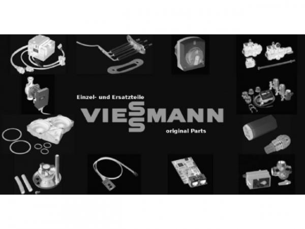 Viessmann Reinigungsset Vitoladens 300-W/333-F 7266510