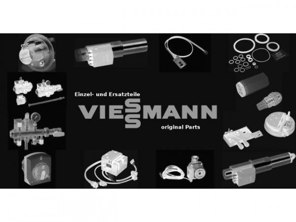 VIESSMANN Strömungswächter 7857299