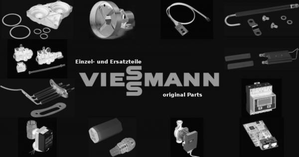 VIESSMANN 7819587 Reinigungsgerät