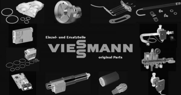 VIESSMANN 7836244 Aschetür komplett