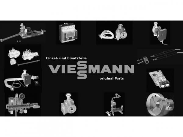 VIESSMANN 7855461 Mechanik Reinigung