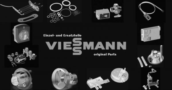 VIESSMANN 7833779 Wirbulator B50 T112 L2352