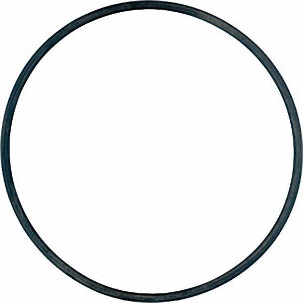 O-Ring 94 x 3 Viton 1 Stück