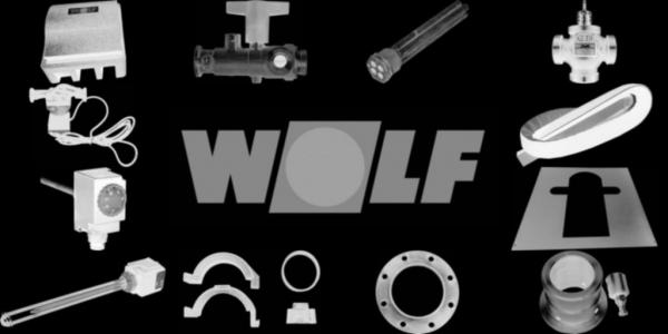 WOLF 2482794 Reinigungsbürste-mit Stiel für FFS-14